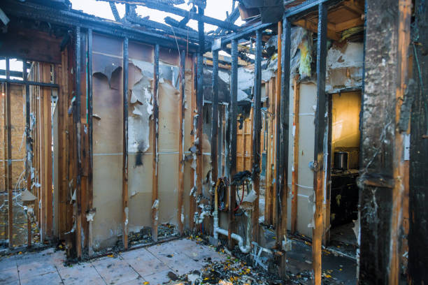 Professional Emergency Fire Cleanup technician working in Magnolia, NJ